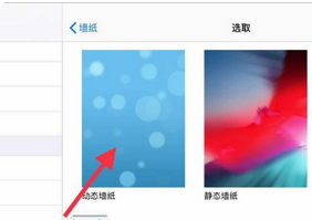 ipad怎么自定义壁纸