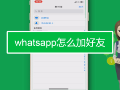 whatsapp怎么加好友