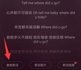 网易云音乐歌词导出