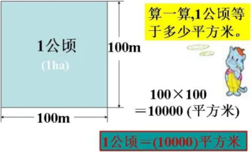 公顷和平方米