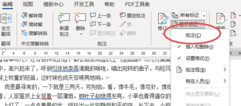 word文档批注设置方法