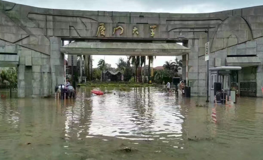 台风后的厦门大学