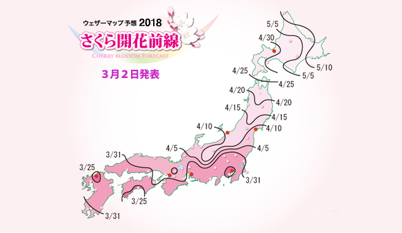 日本樱花最佳观赏时间