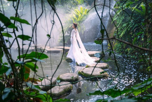 厦门植物园雨林世界